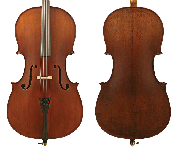 Student_Plus_II_Cello_Front_Back_trs